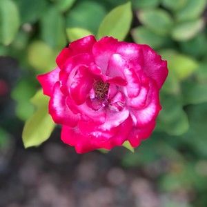 Meet your Posher, Bryan